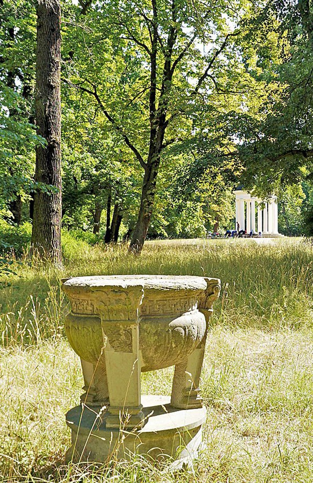 Der Heilige Hain im Georgengarten braucht Hilfe.