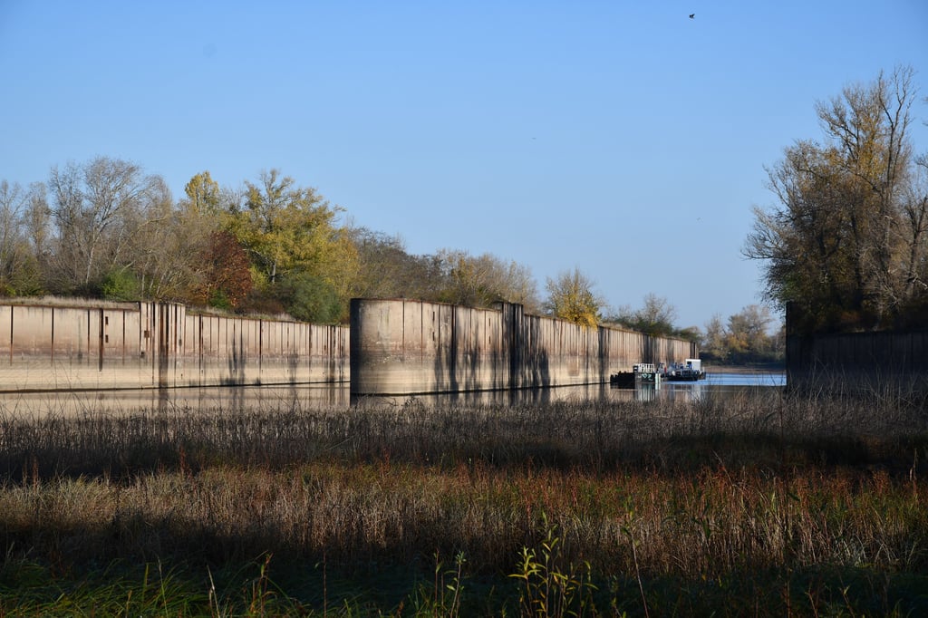 Im Magdeburger Norden soll eine neue Hochwasserschutzmauer entstehen.