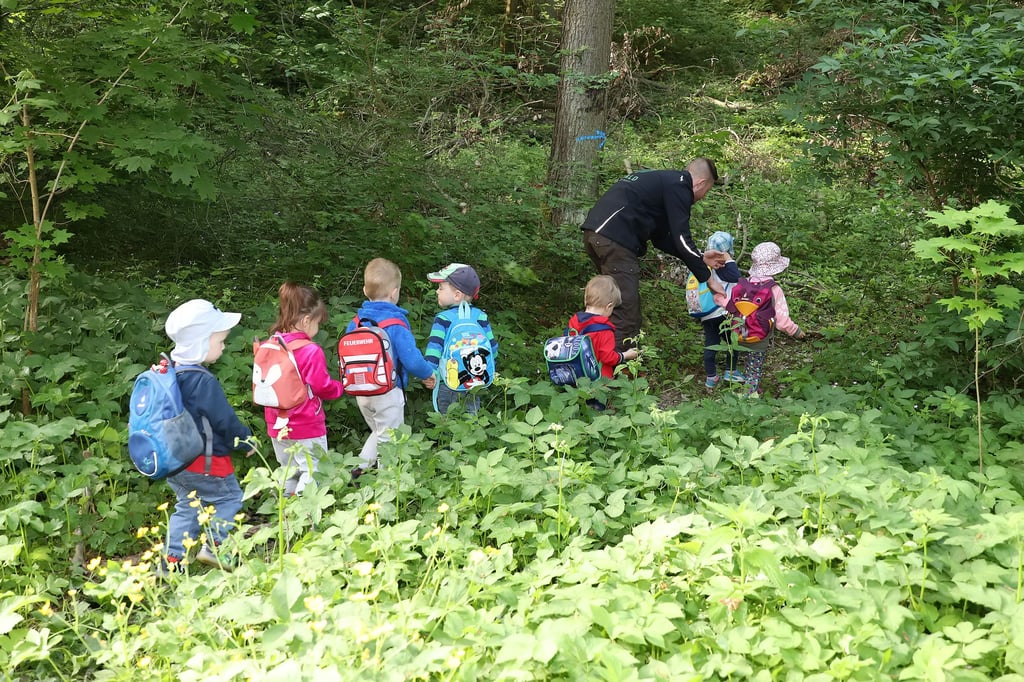 Im Mai waren Kinder aus der Kita am Kreuzberg mit Julius Hollitschka bei einem Erlebnistag im Wald unterwegs.