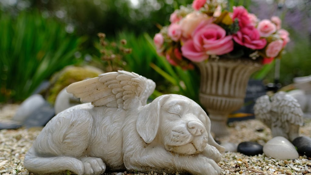 Für viele Herrchen und Frauchen sind beim Tod ihres Tieres Trauer und Verzweiflung nicht weniger groß, als wenn ein geliebter Mensch stirbt.