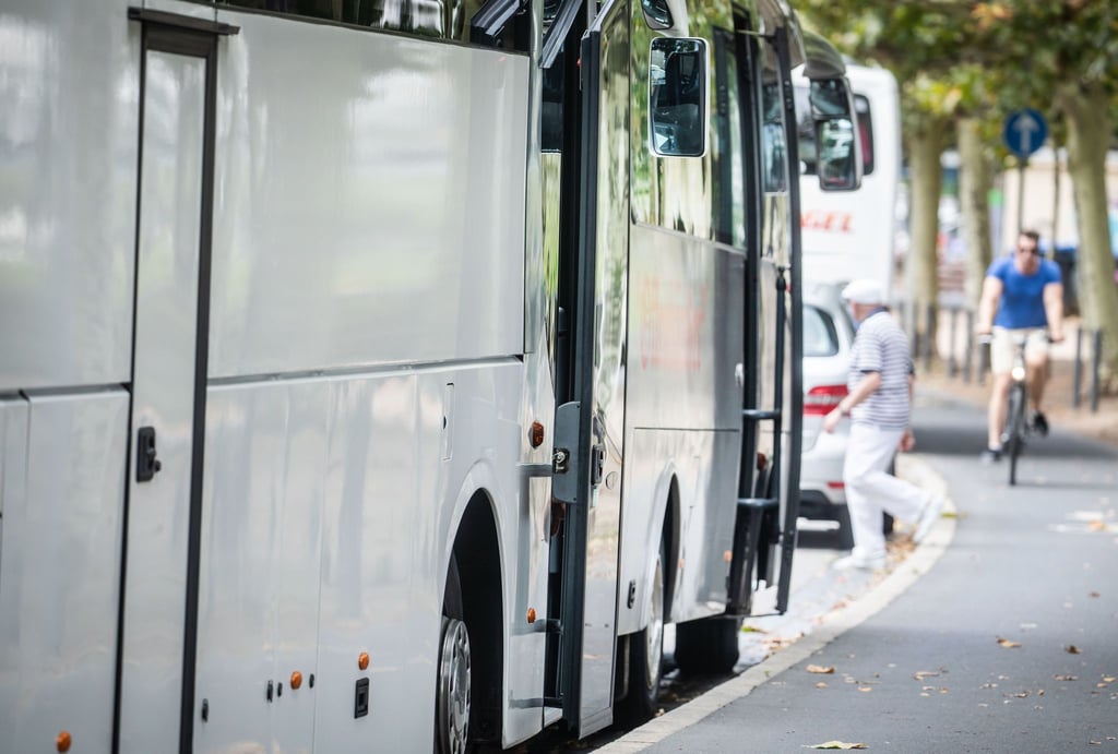 Reisebusse stehen am Strassenrand.