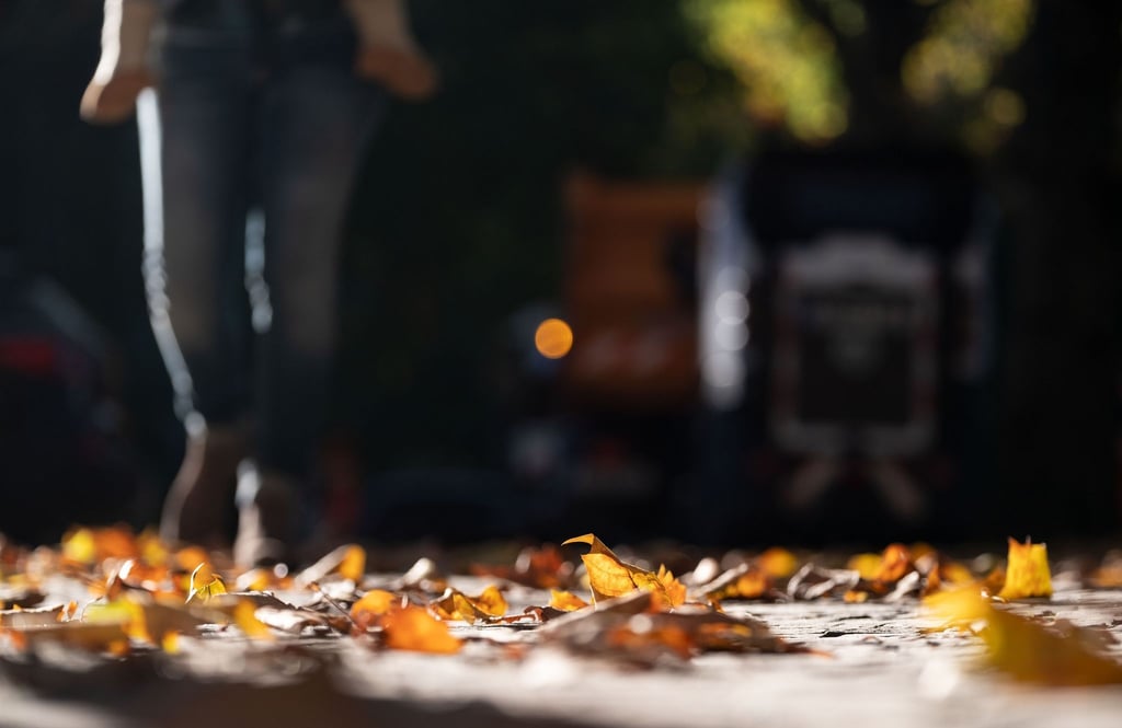 Bei Trockenheit weniger rutschig als bei Nässe: Herbstlaub auf Gehwegen und Straßen.