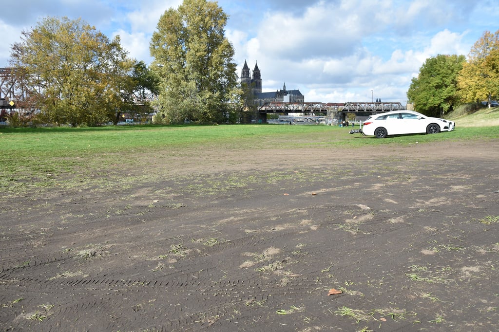 Archivaufnahme von Anfang Oktober: Für einige Tage durfte auf der Elbuferwiese in Magdeburg geparkt werden.