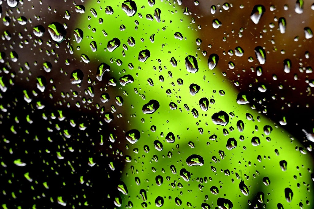 Wassertropfen sind an einer Autoscheibe zu sehen.