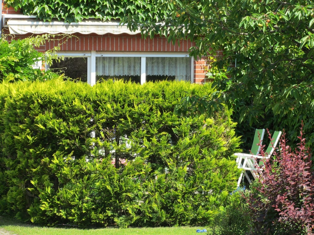 Eine Hecke ist Schutz in mehrfacher Hinsicht: Sie ist Sichtschutz, aber auch eine Windbarriere, die Pflanzen im Garteninneren hilft.