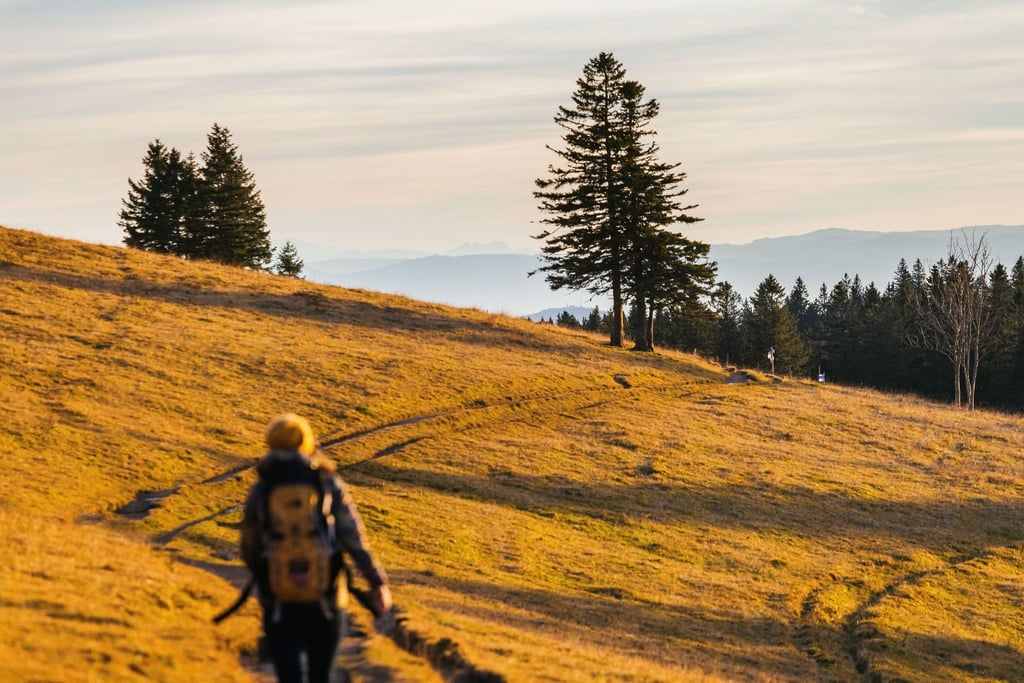 Bei Touren im Herbst werden Wandernde oft mit einmaligen Farb- und Lichtspielen belohnt - wie hier im Südschwarzwald.