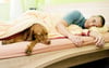 Manche Hundehalter lieben es, wenn der Hund mit in ihrem Bett schläft. Wenn man es ihm als Welpe erlaubt hat, ist es schwierig, ihm das später wieder abzugewöhnen, aber machbar.
