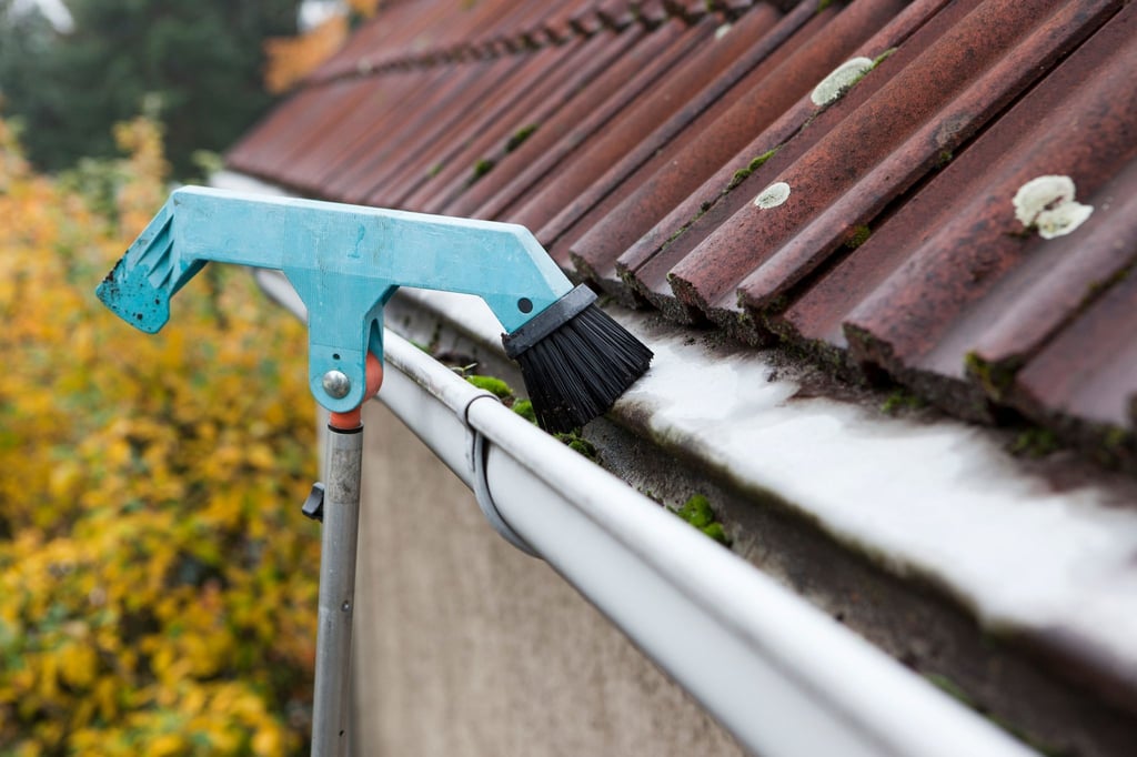 An die Regenrinne kommt man oftmals besser mit einer Teleskopstange heran.