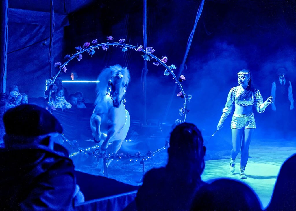 In den Vorstellungen vom Zirkus Aramannt in Wittenberg gibt es auch einen Programmpunkt zum letzten Einhorn. Zu sehen ist es im Zirkuszelt im Volkspark Piesteritz am heutigen Freitag um 16 Uhr und noch einmal am morgigen Sonnabend um 15 Uhr.
