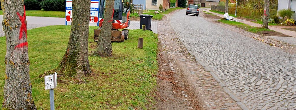Einige Bäume an der Velgauer Straße, die gefällt werden müssen, wurden bereits mit roter Farbe markiert.