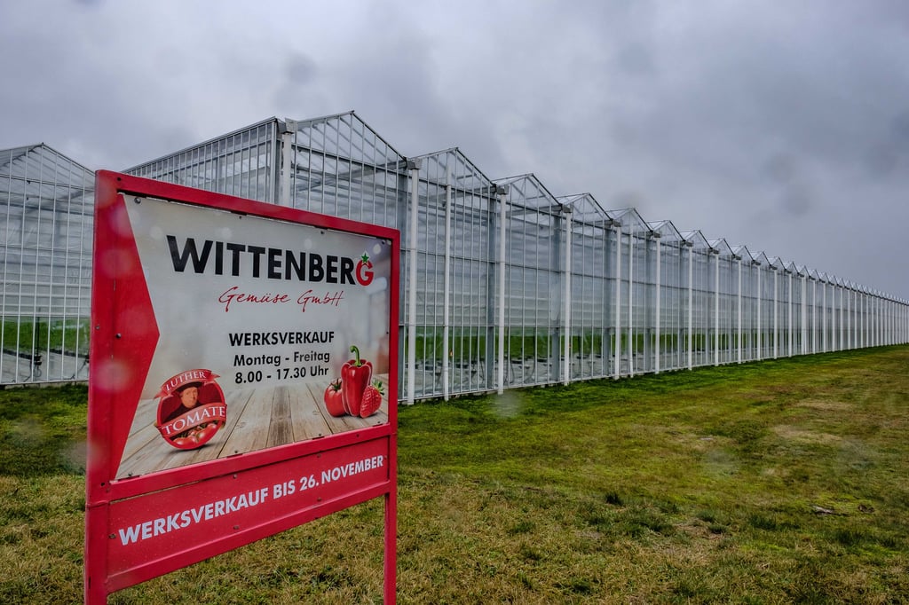 Die Gewächshäuser von Wittenberg Gemüse