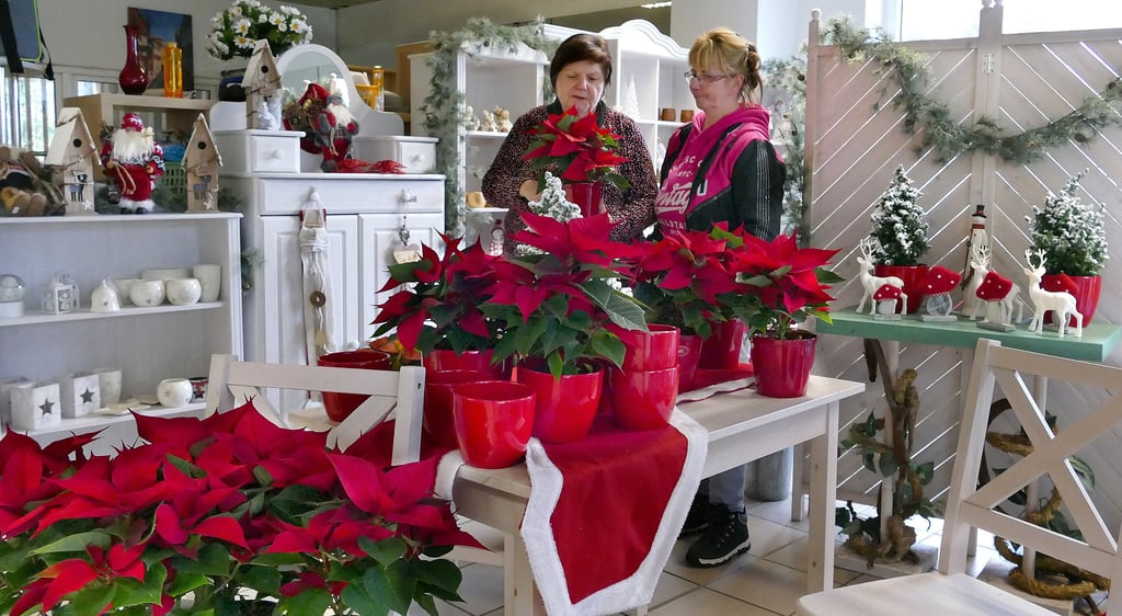 Margit Mehr und Kathrin Käbe beratschlagen, wie der neue Blumenstand in die Räume des Wir-Vereins in Annaburg integriert werden kann.