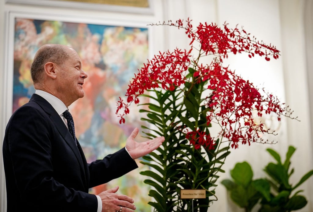 Bundeskanzler Olaf Scholz (SPD) steht bei der Orchideenzeremonie neben der Orchidee mit dem Namen Renanthera Olaf Scholz.