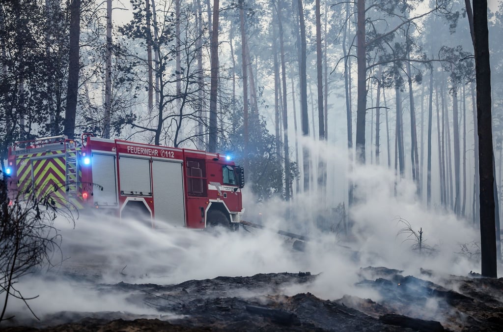 Ein Löschfahrzeug der Feuerwehr steht in einem verrauchten Wald in der Nähe von Falkenberg.