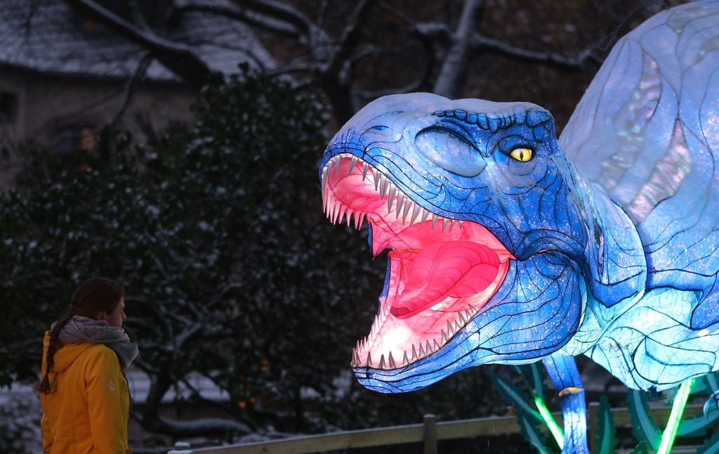 Eine Frau steht in den „Magische Lichterwelten“ im Bergzoo Halle vor einem leuchtenden Dinosaurier.