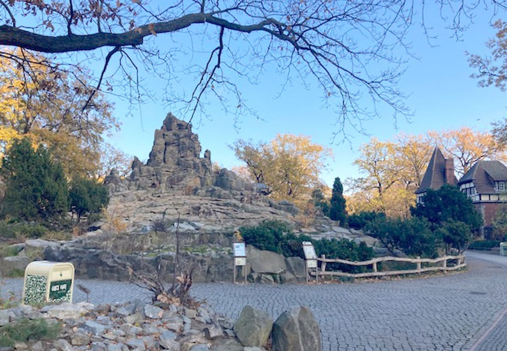 Aus Vorsorge ist der Berliner Zoo für Besucher geschlossen worden. Grund ist ein Fall von Vogelgrippe.