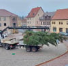 Der Weihnachtsbaum der Stadt Zörbig ist 14 Meter hoch.