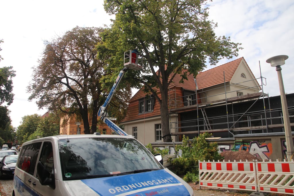 Das Ordnungsamt war vor Ort um die Fällarbeiten vor den Protestierenden zu schützen.