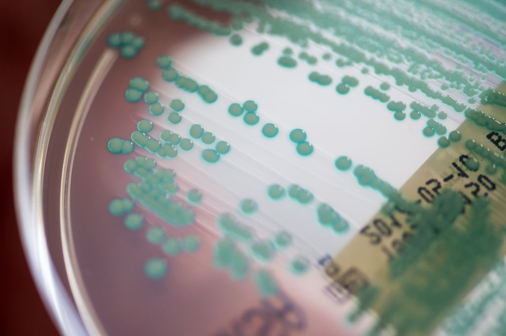 Antibiotikaresistenzen stellten heute eine der größten gesundheitlichen Herausforderungen in Europa dar.