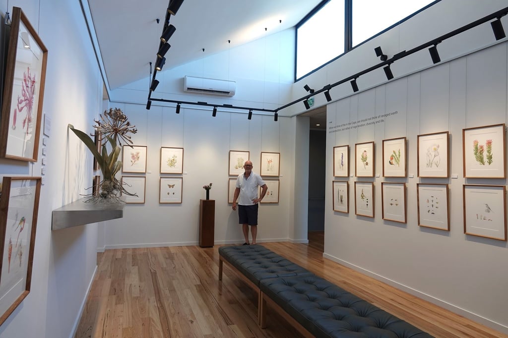 Michael Lutzeyer steht vor Kunstillustrationen seltener, gefährdeter oder endemischer Pflanzenarten, die er in einer Kunstgalerie auf seinem privaten Naturreservat Grootbos ausstellt.