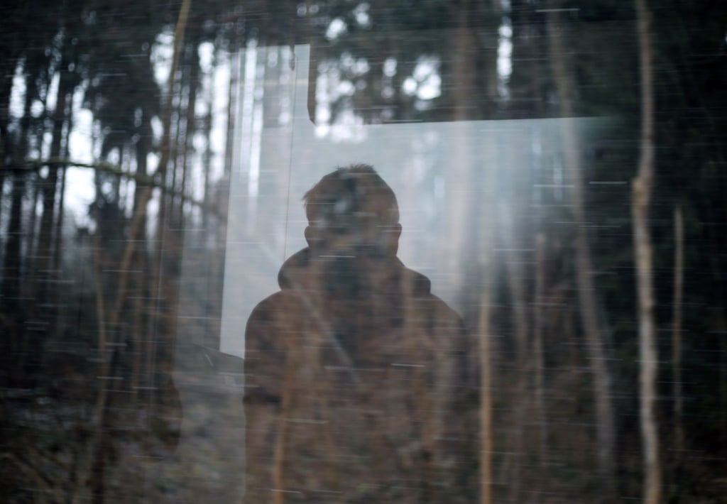 Ein junger Mann blickt aus dem Fenster eines Regionalexpress, der an einem Wald vorbei fährt.