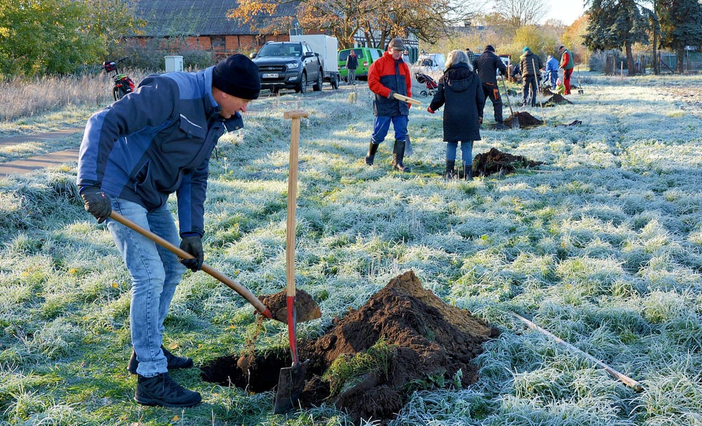 So wie Horst Blum griffen am Sonnabend zwei Dutzend Helfer bei Rohbeck zu Schippe und Spaten, um die ersten 18 von rund 40 Obstbäumen in die Erde zu bringen. Bevorzugt alte und hochstämmige Sorten sollen die künftige Streuobstwiese prägen.