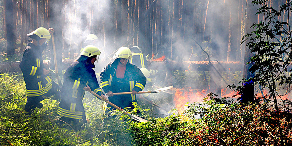 Mit Feuerpatschen gehen Feuerwehrleute gegen einen Waldbrand vor.