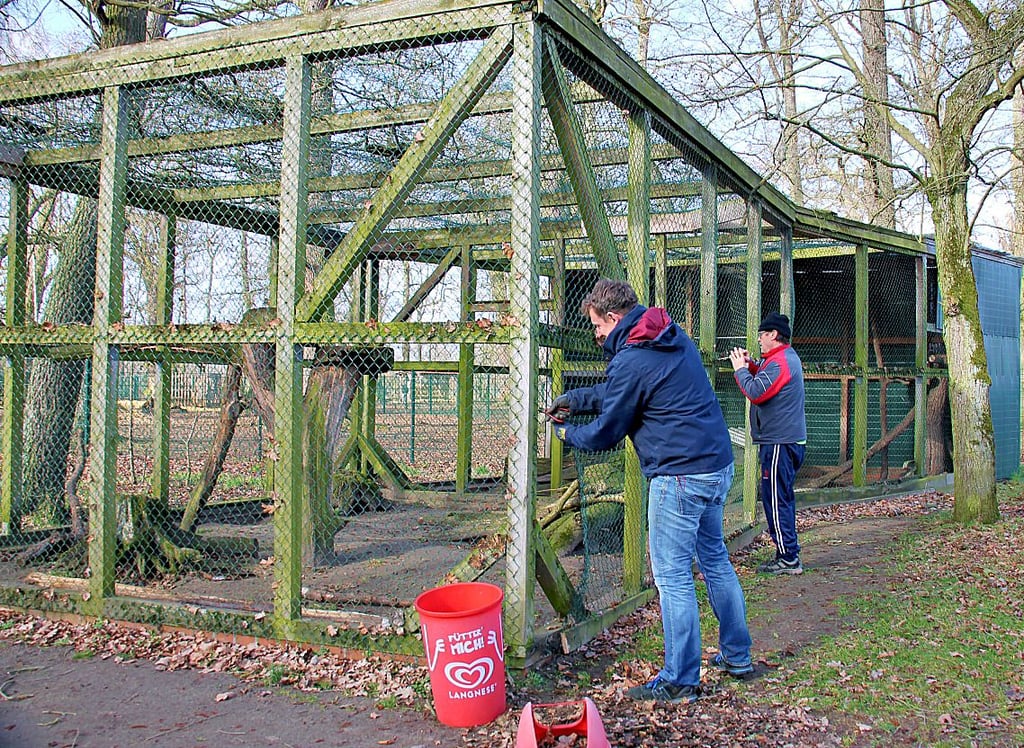 Im Februar 2022 halfen Bürgermeister Andreas Brohm und der frühere Fördervereinsvorsitzende Siegfried Ahrndt beim Abriss des alten Waschbärengeheges im Wildpark Weißewarte. Bisher ist es nicht wieder aufgebaut.