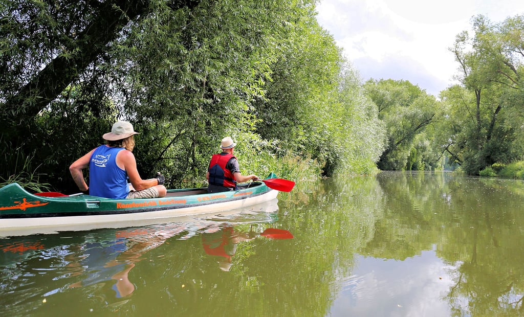 Die Bode soll im Raum Staßfurt wieder touristischer genutzt werden. Flora und Fauna haben jedoch unter den Einleitungen in den Fluss zu leiden.