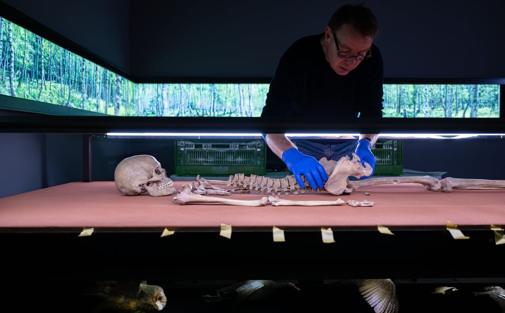 Das Grab einer Frau aus der Bronzezeit ist in den 1930er Jahren in Bad Dürrenberg entdeckt worden. Doch erst jetzt gibt es neue Erkenntnisse zu der Frau und ihren Lebensumständen.
