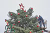 Der Weihnachtsbaum in Bernburg hat mit dem roten Stern eine neue Spitze bekommen. 