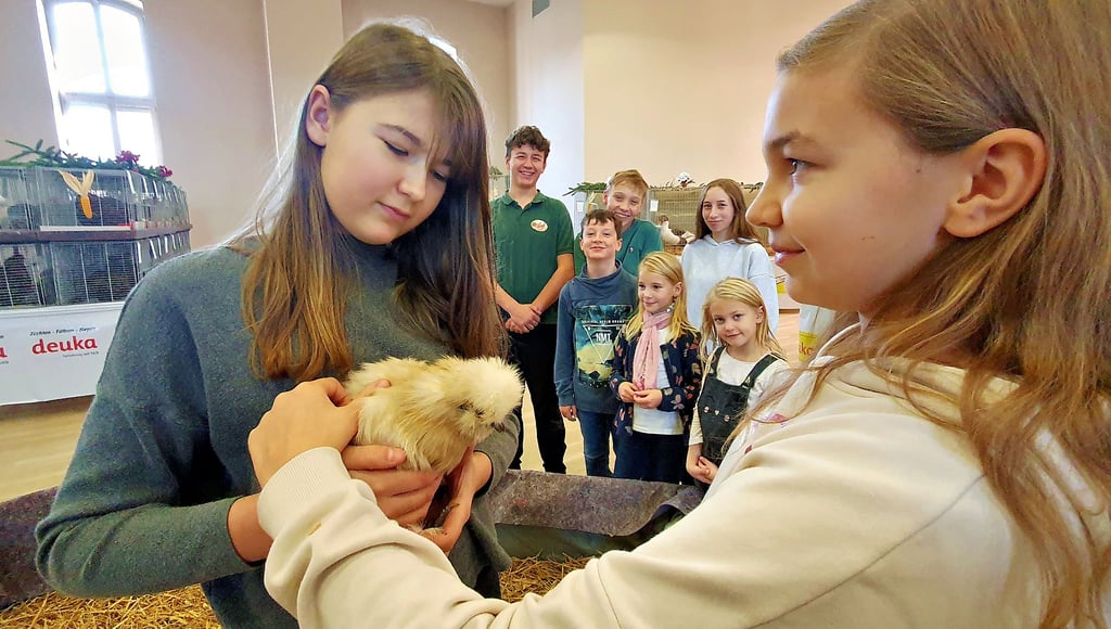 Im Streichelgehege zeigt Cippora Anders (rechts) Hanna Mannchen und der Jugendgruppe ihr Seidenhuhn, dessen Federn wie Fell wirken.