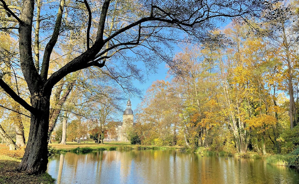 Die Gewässer im Park Möckern sollen im kommenden Jahr saniert werden.