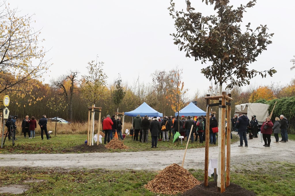 Teilnehmer stehen an einem von sieben frisch gepflanzten Bäumen bei der Baumpflanzaktion „1000 Buchen“.