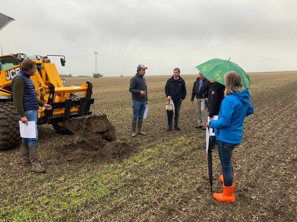 In Vorbereitung ihrer Agri-Photovoltaikanlage im Geiseltal hatte der Initiator und Landwirtschaftsbetrieb AVG Mücheln Interessierte zum Feldspaziergang nach Krumpa eingeladen, wo eine Teilfläche des Solarparks vorgesehen ist.