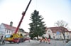 Mit Hilfe schwerer Technik ist auch auf dem Marktplatz in Nienburg ein Weihnachtsbaum aufgestellt worden.