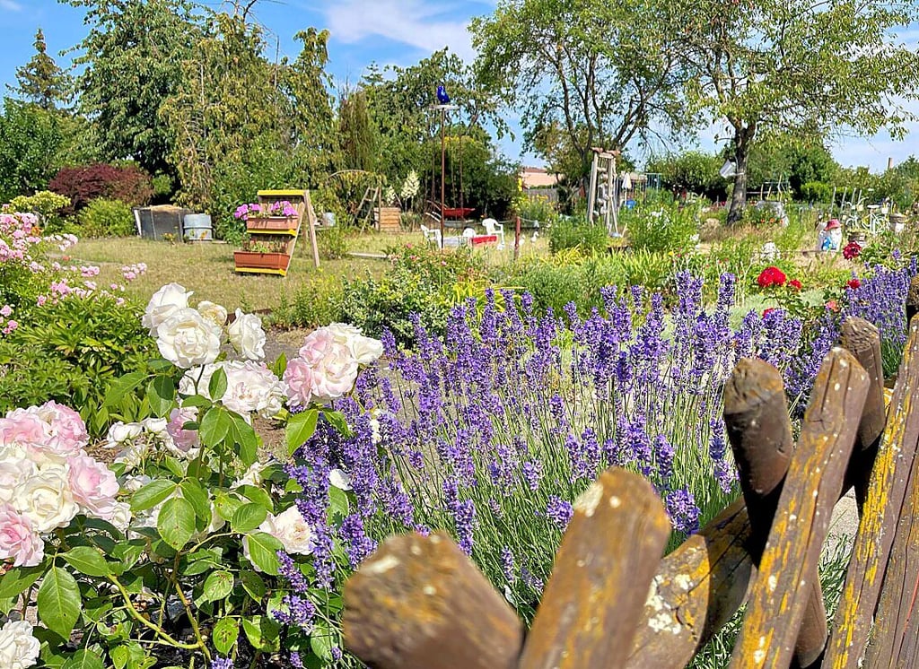 Der Schönebecker Kleingartenverein „Gartenidyll“ hat bei einem Bundesgartenwettbewerb die Bronzemadaille errungen. Womit konnten die Kleingärtner aus Schönebeck die Juroren überzeugen?