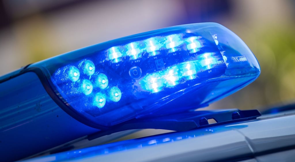 Zwei unbekannte Täter sind in einen Sonderpostenmarkt eingebrochen.