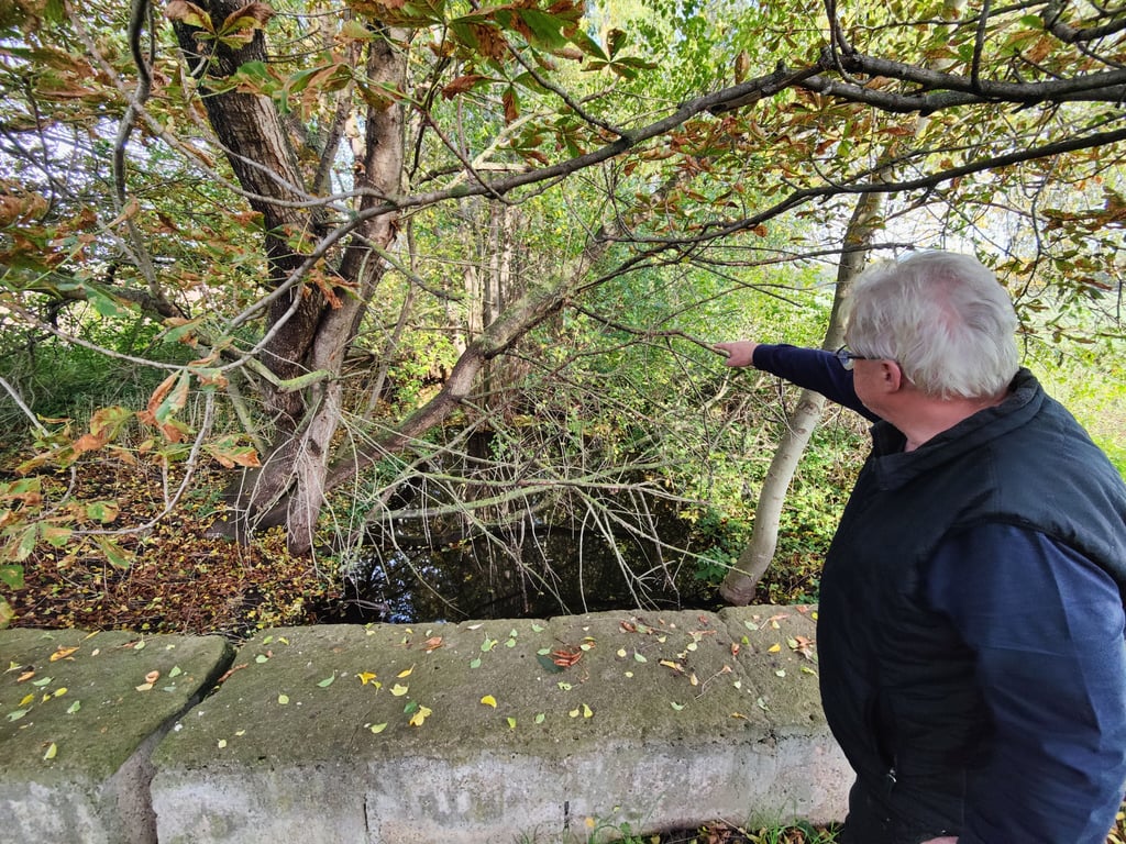 Rainer Rothe aus Kreischau zeigt auf die Bäume und Sträucher, die in der Grunau landen. Der Bach hat zu wenig Wasser und droht, vollständig auszutrocknen.
