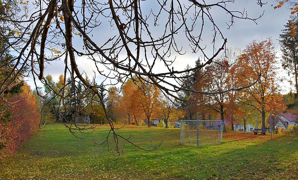 Der Bolzplatz an der Ernst-Thälmann-Straße in Elbingerode könnte mit neuen Wohnhäusern bebaut werden.