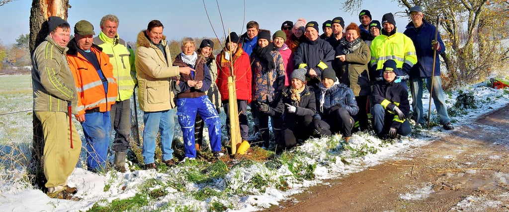 Vereins- und Feuerwehrmitglieder sowie weitere Helfer sorgen für ein „Baumstarkes Dorf“ Krawinkel.