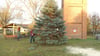 Gleich neben dem Dorfteich des alten Rundlingsdorfes Mahlpfuhl steht der Trafoturm und dort wurde jetzt auch wieder der Weihnachtsbaum aufgestellt.