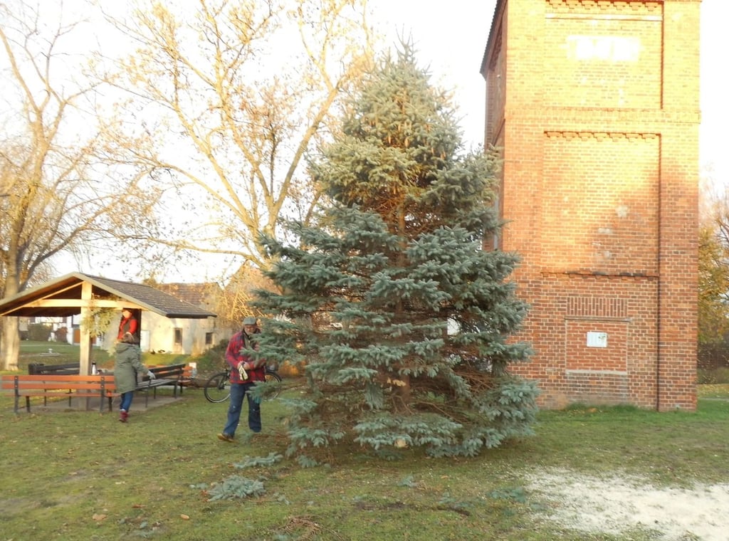 Gleich neben dem Dorfteich des alten Rundlingsdorfes Mahlpfuhl steht der Trafoturm und dort wurde jetzt auch wieder der Weihnachtsbaum aufgestellt.