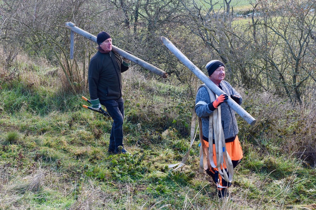 Olaf Kürbis und Michael Stock (v.li.) tragen Material auf das Plateau der Schalkenburg am Rand von Quenstedt.
