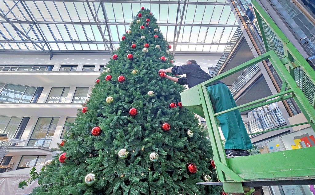 Auch im Goitzsche Klinikum in Bitterfeld zieht weihnachtliches Flair ein. Mitarbeiter der Haustechnik haben bereits den Weihnachtsbau geschmückt.
