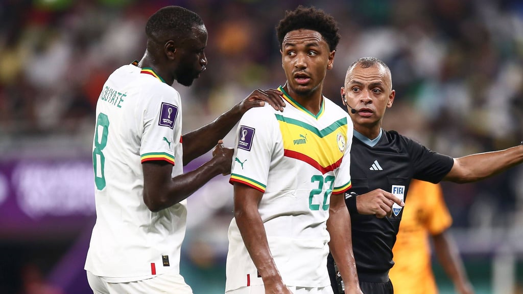 Sind beide wieder einsatzfähig: Senegals Cheikhou Kouyate (l.) und Abdou Diallo