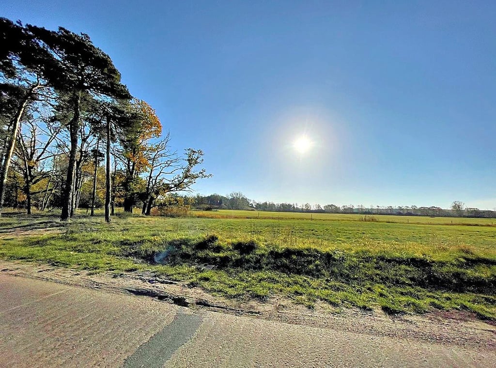 Hier, vor den Toren Mosigkaus, soll der Solarpark in den nächsten Jahren entstehen. Die Ortschaft könnte finanziell davon profitieren.