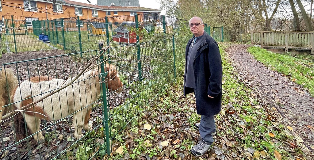 Andreas Berbig vom Wolfskompetenzzentrum wähnt die Loburger Ponys in Gefahr. Hinter der Brücke im Hintergrund war ein angefressenes Reh gefunden worden.