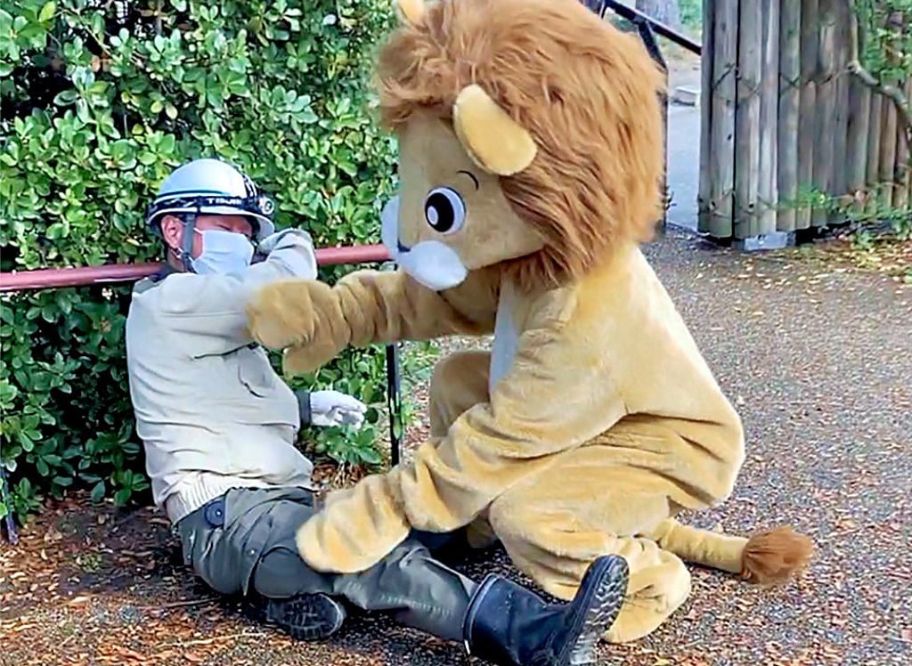 Dieser äußerst gefährliche Löwe hat den tapferen Polizisten außer Gefecht gesetzt. Eigentlich sollte es umgekehrt sein.