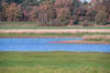 Blick auf das neu angelegte Schlafgewässer für gefährdete sibirische Zwergschwäne.